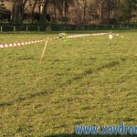 looping avec helicoptere rc