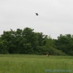 course de drones