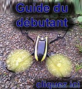 guide du débutant