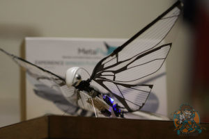 MetaFly